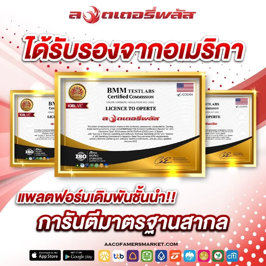 ปั่น สล็อต นก พลัส